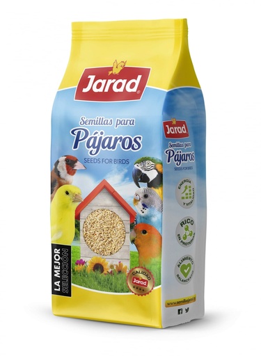 Jarad Avena Pelada