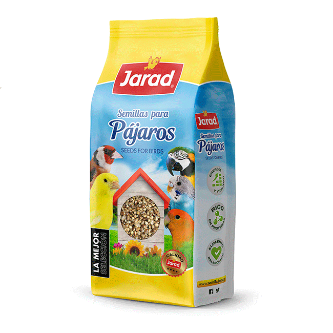 Jarad Cañamón