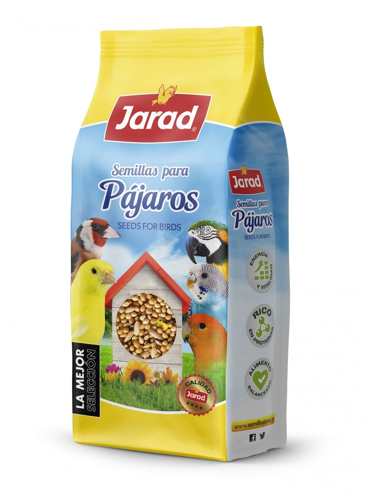 Jarad La Mejor Selección Periquito