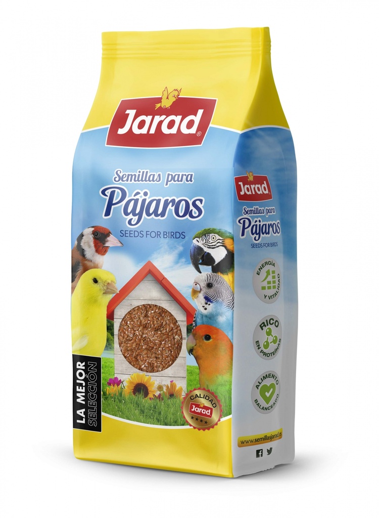 Jarad Linaza Marrón
