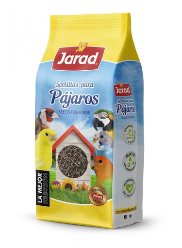 Jarad Negrillo