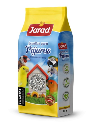 Jarad Perilla Blanca