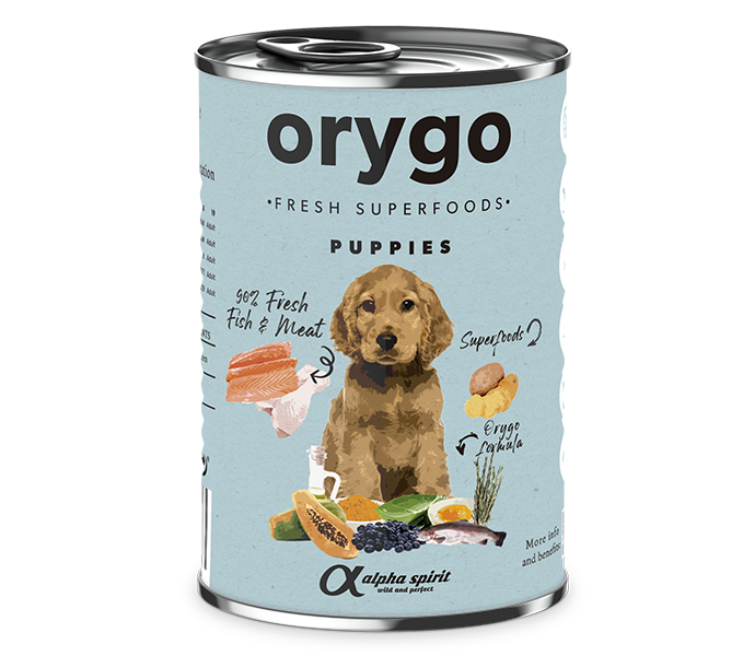 Orygo - Paté de Salmón con Boniato para Puppies